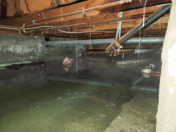 , RI Water damage restoration Company