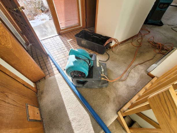Best Commercial water damage restoration  in Narragansett Pier, RI