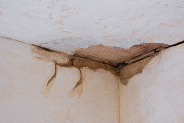 Best Water damage restoration company  in Narragansett Pier, RI