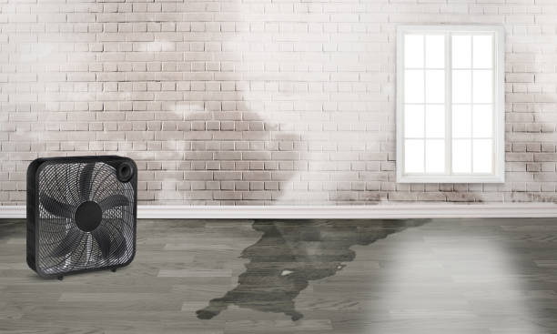 Best 24/7 water damage repair  in Narragansett Pier, RI