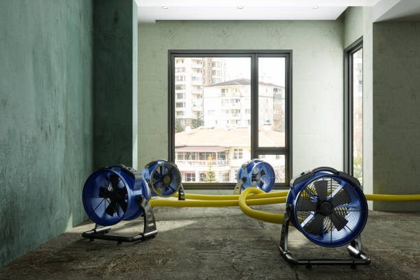 Best Water damage restoration near me  in Narragansett Pier, RI