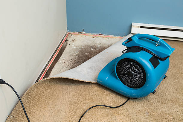 Local water damage restoration in RI